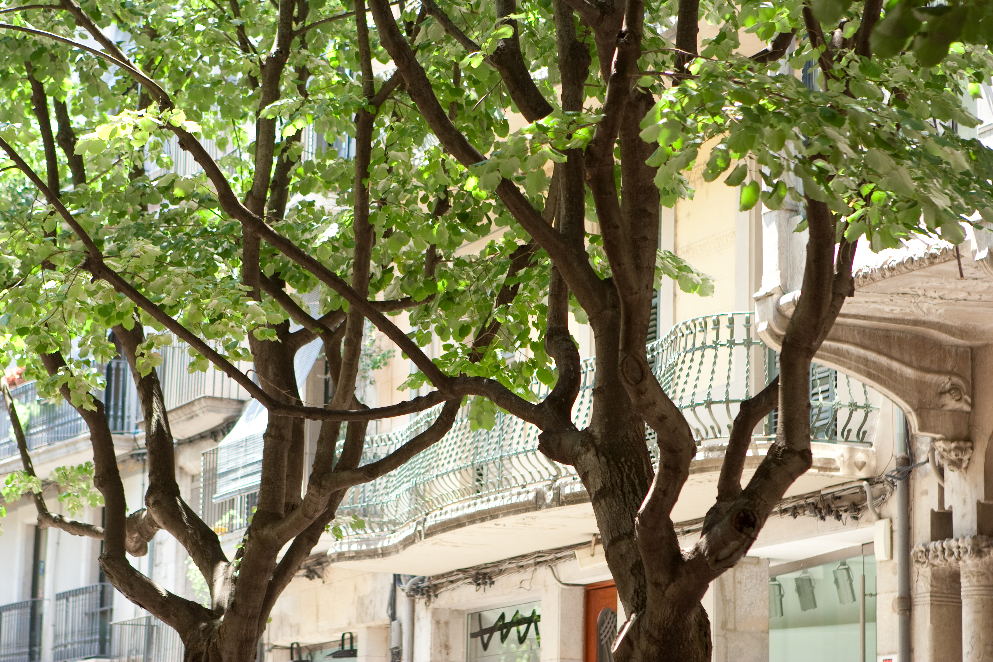 vakantie 2009 spanje-098.jpg